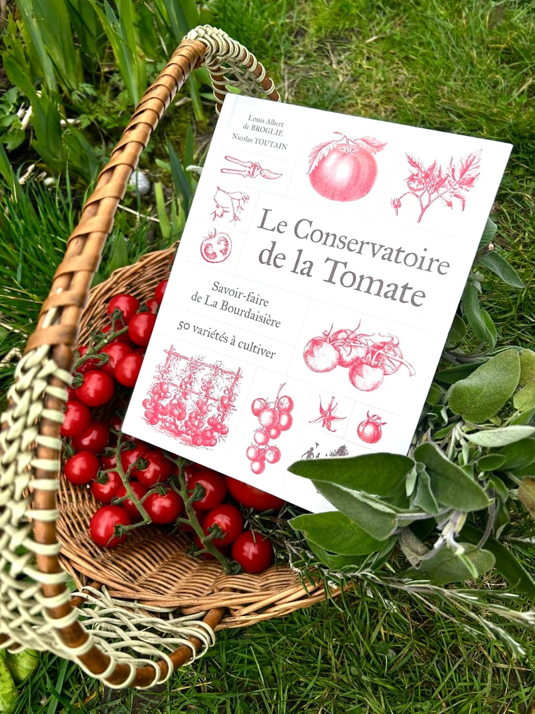 Variétés de tomates du Conservatoire de La Bourdaisière